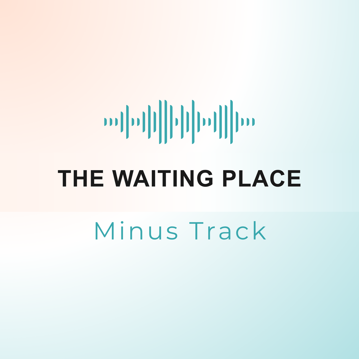 THE WAITING PLACE Minus Track