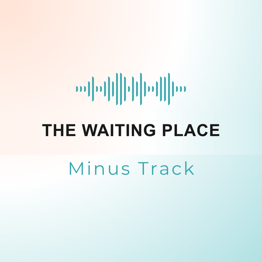 THE WAITING PLACE Minus Track
